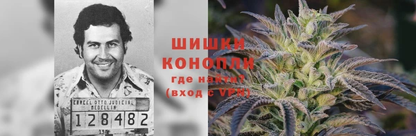 2c-b Бородино