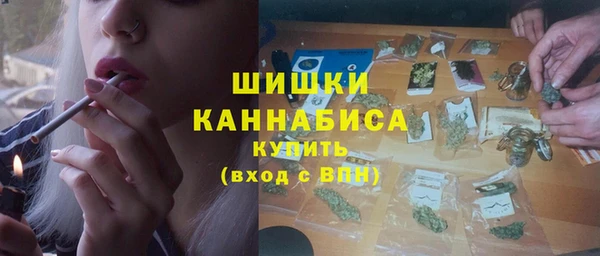 2c-b Бородино