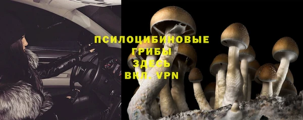 твердый Семилуки