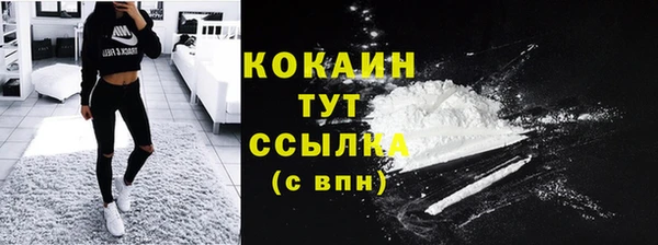 молекула духа Верхний Тагил