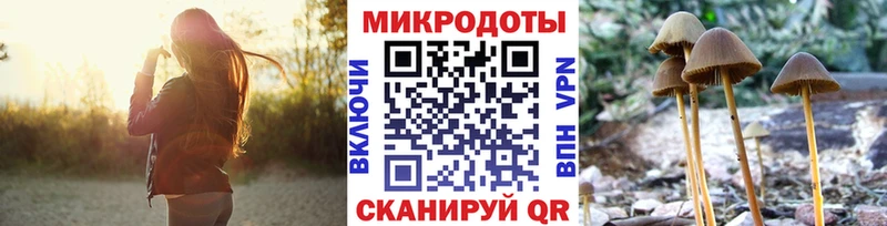 сайты даркнета какой сайт наркошоп Можайск Галлюциногенные грибы MAGIC MUSHROOMS